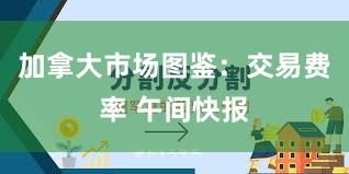 加拿大市场图鉴：交易费率 午间快报