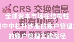 全球资本市场在结构性行情阶段中中杠杆炒股的账户管理实践路径